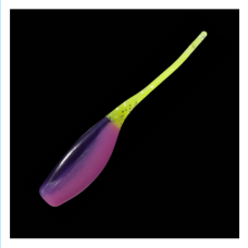 Relax Stinger Shad 5cm SS002-(8db/cs)