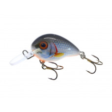 Vidra Lures Atomic Chub 3.5cm, 6gr, Sinking BKR