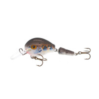 Vidra Lures Atomic Chub Jointed 5cm, 7gr, Sinking TR