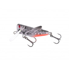 Vidra Lures Locust 4cm, 4gr, Sinking