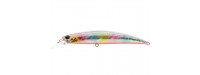 DUO Ryuki 110S SW Wobbler 11cm 21gr AJA0035 Rainbow RB S                             