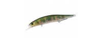 DUO Realis Jerkbait 100 SP Wobbler 10cm 14.5gr DTA3345 AM Hasu