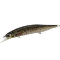 DUO Jerkbait Wobbler 120 SP Pike Ltd 12cm 17.8gr CCC3815-Brown-Trout-ND-12