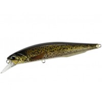 DUO Jerkbait Wobbler 100 SP Pike Ltd 10cm 14.5gr CCC3815-Brown-Trout-ND