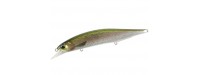 DUO Jerkbait Wobbler 120 SP Pike Ltd 12cm 17.8gr CCC3836-Rainbow-Trout-ND-12