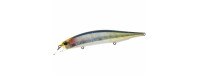 DUO Realis Jerkbait Wobbler 120 S SW 12cm 21.6gr DDN0491-Euro-Anchovy-12