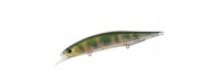 DUO Realis Jerkbait Wobbler 120 SP 12cm 18gr DTA3345-AM-Hasu