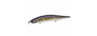 DUO Realis Jerkbait Wobbler 120 S SW 12cm 21.6gr GPA4009-River-Bait-12