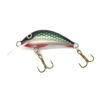 Gloog Hektor 35N Wobbler - 3.5cm/2gr - RT       