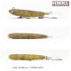 HMKL Micro Minnow i-BULL 45mm Trout Area Wobbler