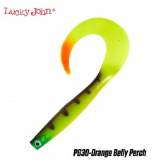 Lucky John KUBIRA FIRE TAIL 9inch-23cm - PG30 - Orange Belly Perch