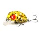 Lucky John Wobbler Haira Tiny Shallow 33F 