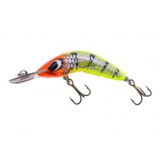 Predatek Boomerang B65S Floating 6.5cm 9gr KT Kakadu Tiger Predatek Boomerang B65S Floating 6.5cm 9gr KT Kakadu Tiger